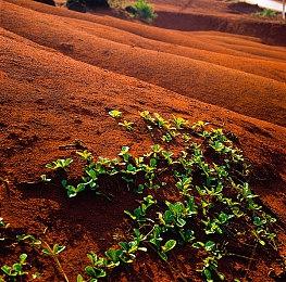 《Isometria》steam页面上线 俯视角2D沙盒生存冒险